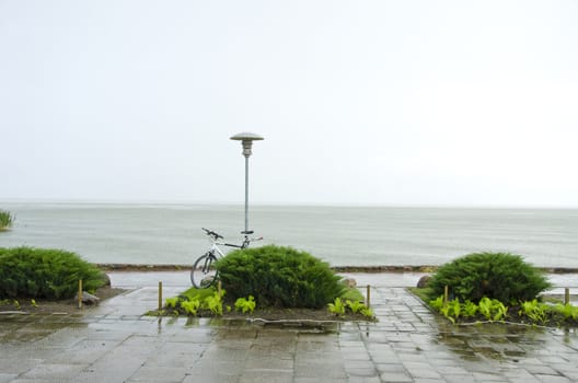 Park near lake after rain. Bicycle, bush, walks.