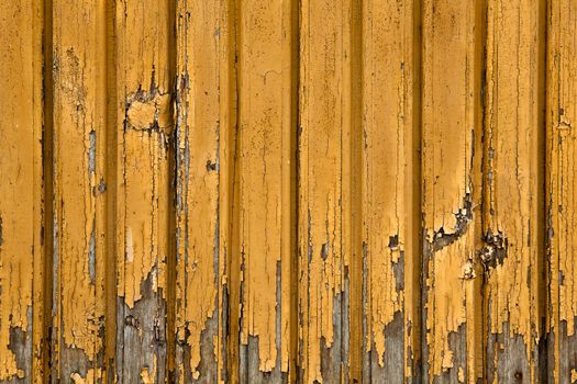 Background picture made of old yellow wood boards