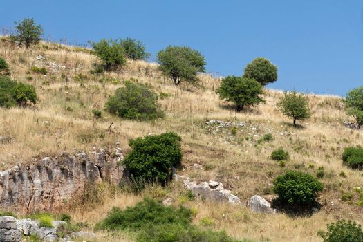 Ruins of the ancient Greek city Ephesus