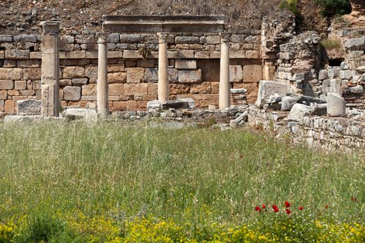 Ruins of the ancient Greek city Ephesus