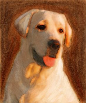 oil painting portrait of young yellow labrador in autumn