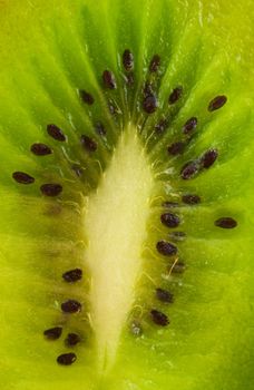 Kiwi background