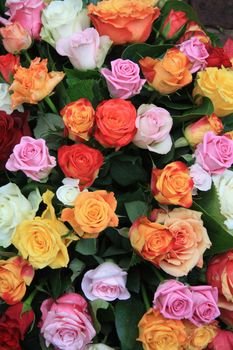 Floral arrangement with roses only in different colors