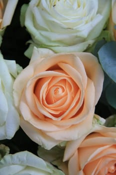 Close up of a big soft orange rose in a white rose flower arrangement