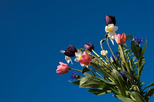 Spring flower bouquet over a  blue sky