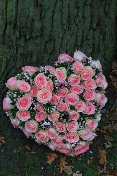 Pink heartshaped sympathy flowers near a tree