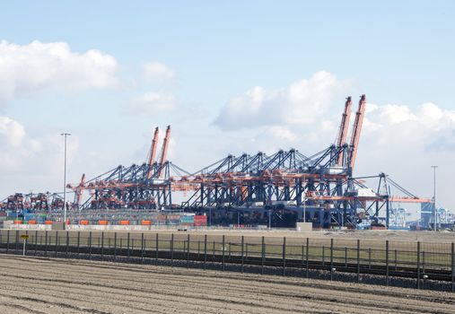 container terminal maasvlakte holland