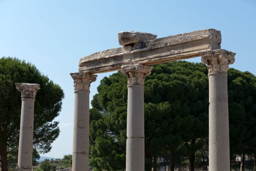 Ruins of the ancient Greek city Ephesus