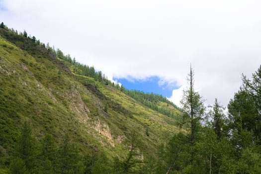 Mountain panorama: sky, clouds and forest 
