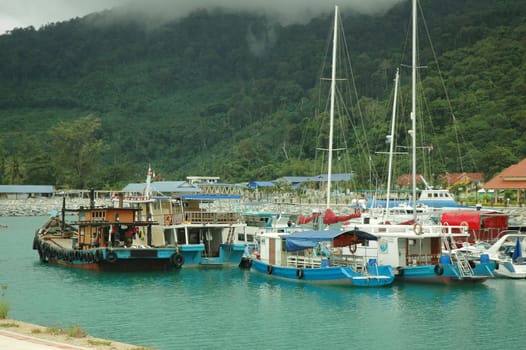 Boats stationary at marina / harbor against mountain forest backdrop