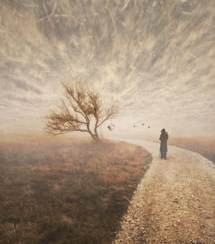 Book cover digital art concept of a washed out landscape shot with a silhouette walking toward a leafless tree with a hanged television