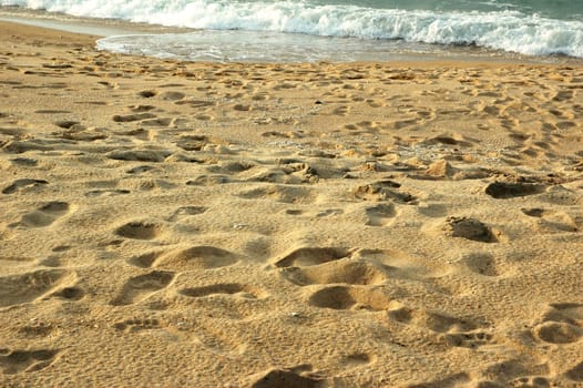 Peaceful sandy tropical beach on a summer day