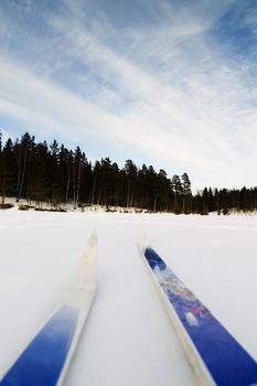 Skiing on a bright sunny day