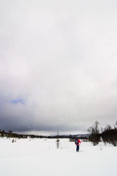 Skiing no a winter landscape