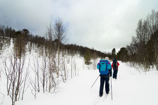 Skiing no a winter landscape