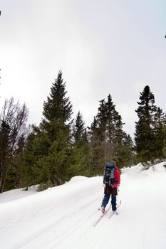 Skiing no a winter landscape