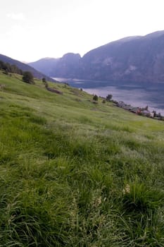 Fjord in western Norway as the sun goes down - great copyspace in the bottom area, or sky.