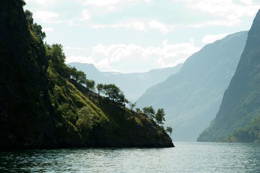 Fjord Scenic from the pass between Aurlandsfjord and naeroyfjord (n�r�yfjord), in Sognefjord, Norway