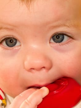 Cute baby boy sucking on  toy