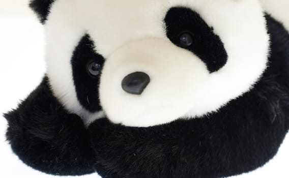 a macro picture of a stuffed panda bear