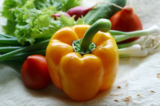 Vegetables on a unleavened wheat cake