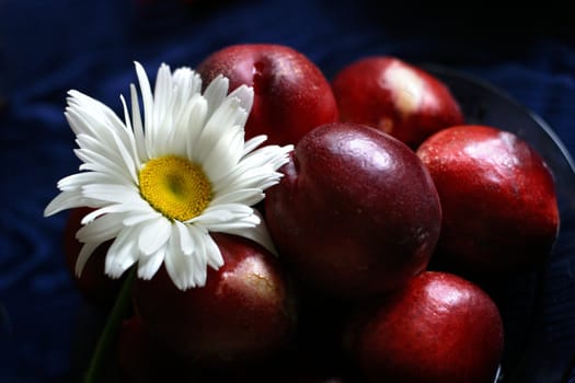 The plate, full fruits with a camomile