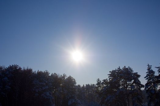 winter sun, sky