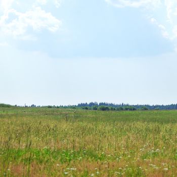  green field under blue sky