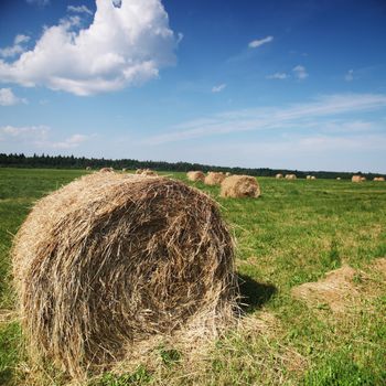 hay on field under blue sky