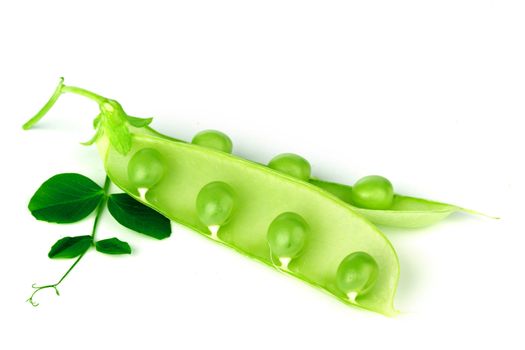Pea and leaf isolated on white