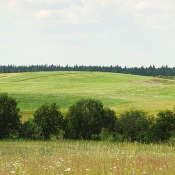  green field under blue sky