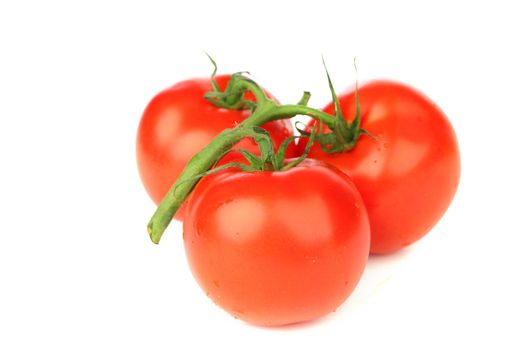 tomatoes isolated on white