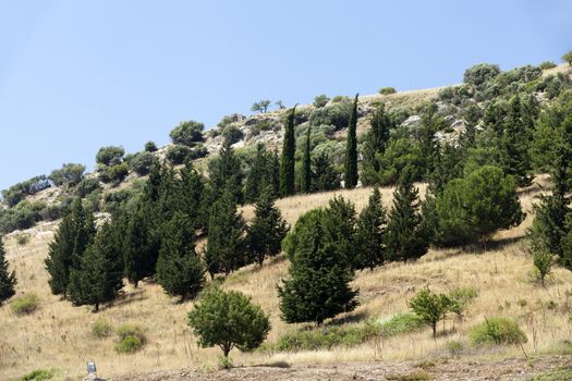 Ruins of the ancient Greek city Ephesus