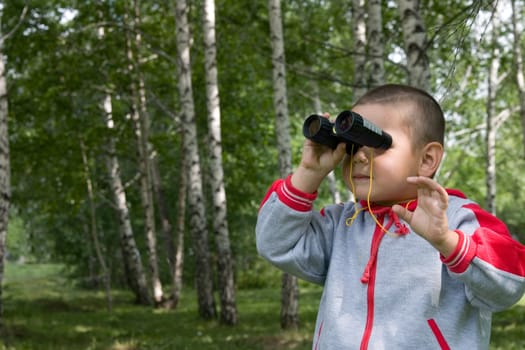 The boy in a wood, looks in the field-glass 