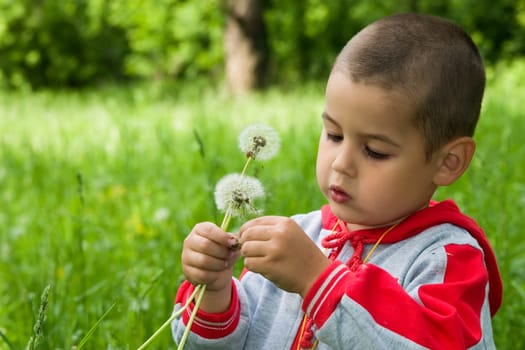 The boy in a wood on a glade with dandelions