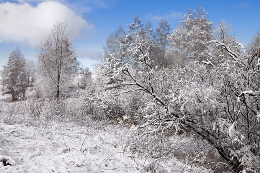 Winter landscape with the bright blue sky