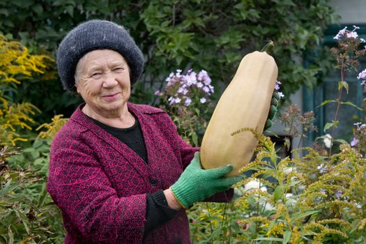 The gardener with brought up in the to a garden a crop