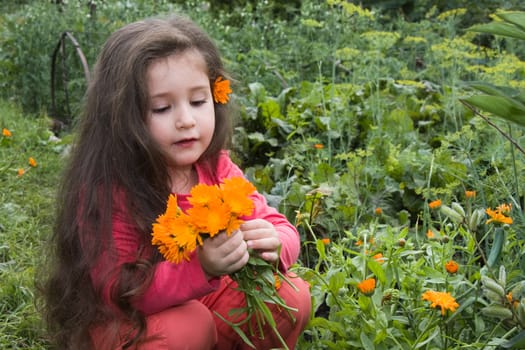 The little girl collects flowers