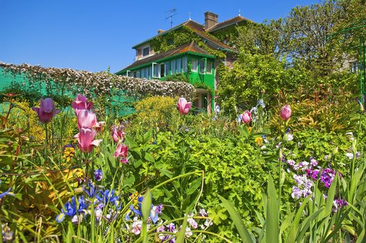 garden of colorful flowers in the countryside of southern France