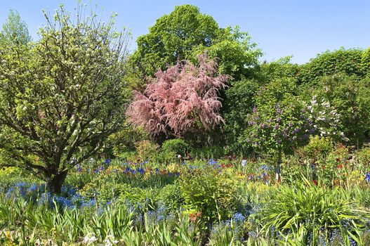 garden of colorful flowers in the countryside of southern France