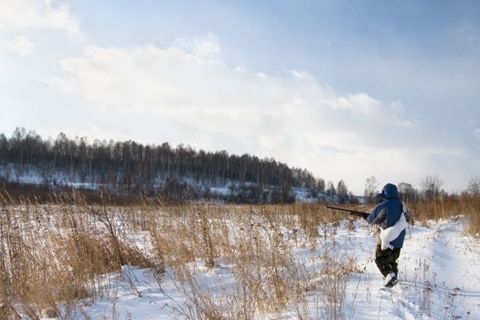 Winter hunting for hares on the first snow