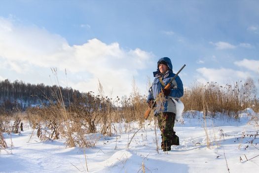 Winter hunting for hares on the first snow