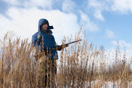 Winter hunting for hares on the first snow