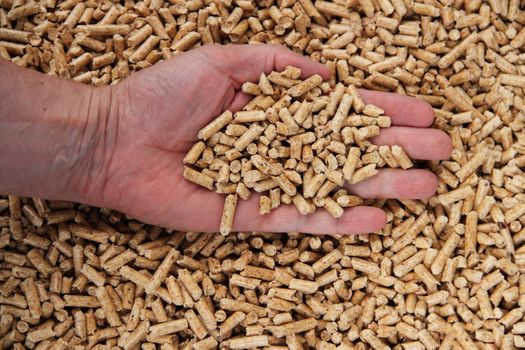 pellets for heating with renewable wood energy