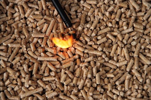 pellets for alternative heating with renewable wood energy