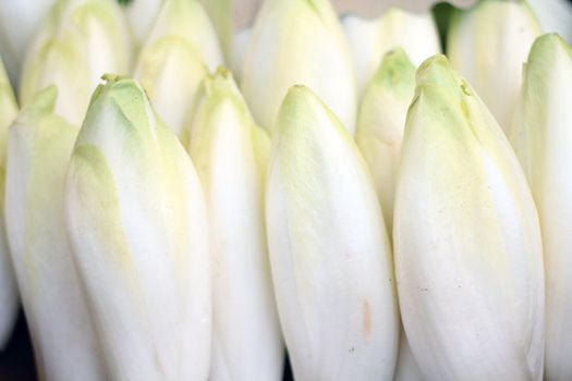 rows of chicory on sale in a market