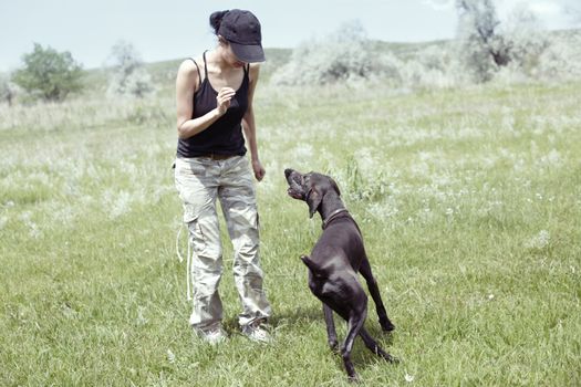 Woman and dog outdoors training. Natural light and colors