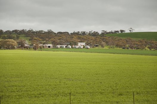 hill and grass in the australian landscape, south australia