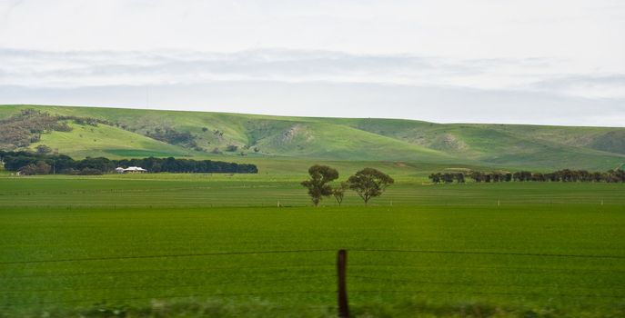 hill and grass in the australian landscape, south australia
