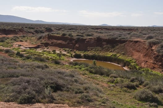 landscape in the australian outback